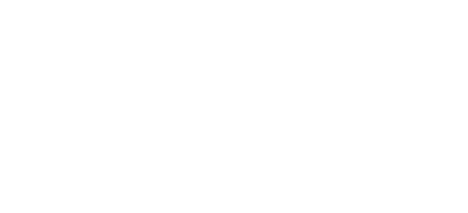 Locked Shield Icon