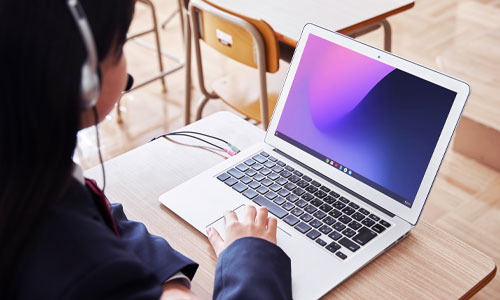 Pupil using secure laptop