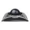 Kensington Expert Mouse Optical