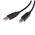 StarTech.com 10 ft USB 2.0 Certified A to B Cable - M/M