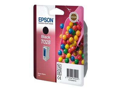 Epson Singlepack Black T028 DURABrite Ink