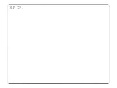 Seiko SLP-DRL White Labels 54x70mm