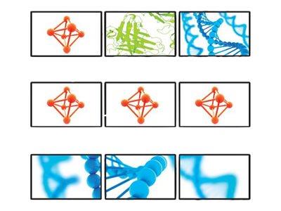 StarTech.com Multi Stream Transport Hub – DisplayPort 1.2 to Triple Head DisplayPort MST Hub