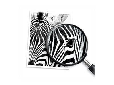 HP 912XL High Yield Cyan Original Ink Cartridge