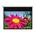 Optoma DE-1123EGA Projection Screen Motorised