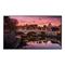 Samsung QB49R 49" 3480x2160 HDMI LED Large Format Display
