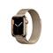 Apple Watch Series 7 GPS + Cellular 41mm Gold Case and Loop